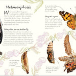 An Anthology Of Butterflies And Moths: A Collection From Around The World by Dk 20 9780593959312_2_98167d6c-7c59-4748-bab4-6b98232baa4f