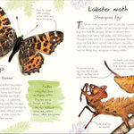 An Anthology Of Butterflies And Moths: A Collection From Around The World by Dk 20 9780593959312_4_70a4a824-4c59-4eed-bf8f-37f9a1da9cf3