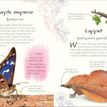 An Anthology Of Butterflies And Moths: A Collection From Around The World by Dk 20 9780593959312_5_10f1832a-67e5-46ff-99bb-3a87058ecbf0