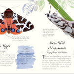 An Anthology Of Butterflies And Moths: A Collection From Around The World by Dk 20 9780593959312_6_7f6f151f-dc88-4b4e-aa2a-4351346febe2