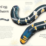 An Anthology Of Remarkable Bugs by French. Jess; Dk 20 9780593971758_1
