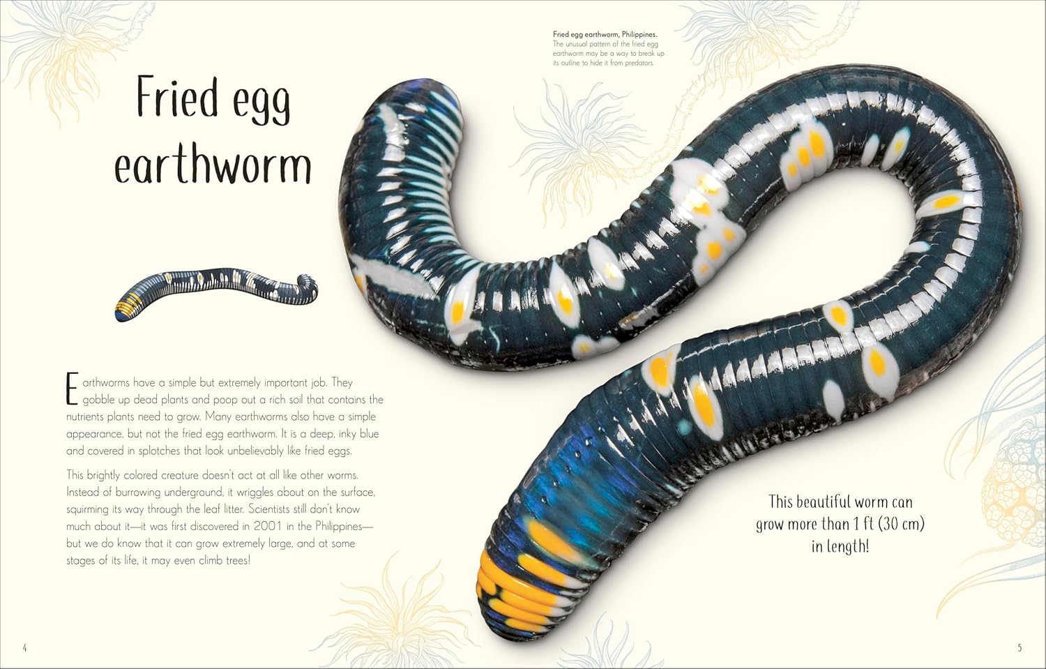 An Anthology Of Remarkable Bugs by French. Jess; Dk 20 9780593971758_1