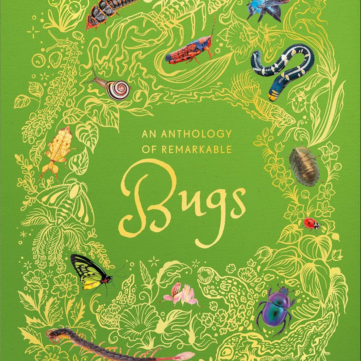 An Anthology Of Remarkable Bugs by French. Jess; Dk 20 9780593971758_149fb50d-a90b-45fa-a17c-6149aba3f21c