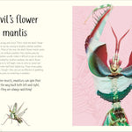 An Anthology Of Remarkable Bugs by French. Jess; Dk 20 9780593971758_2