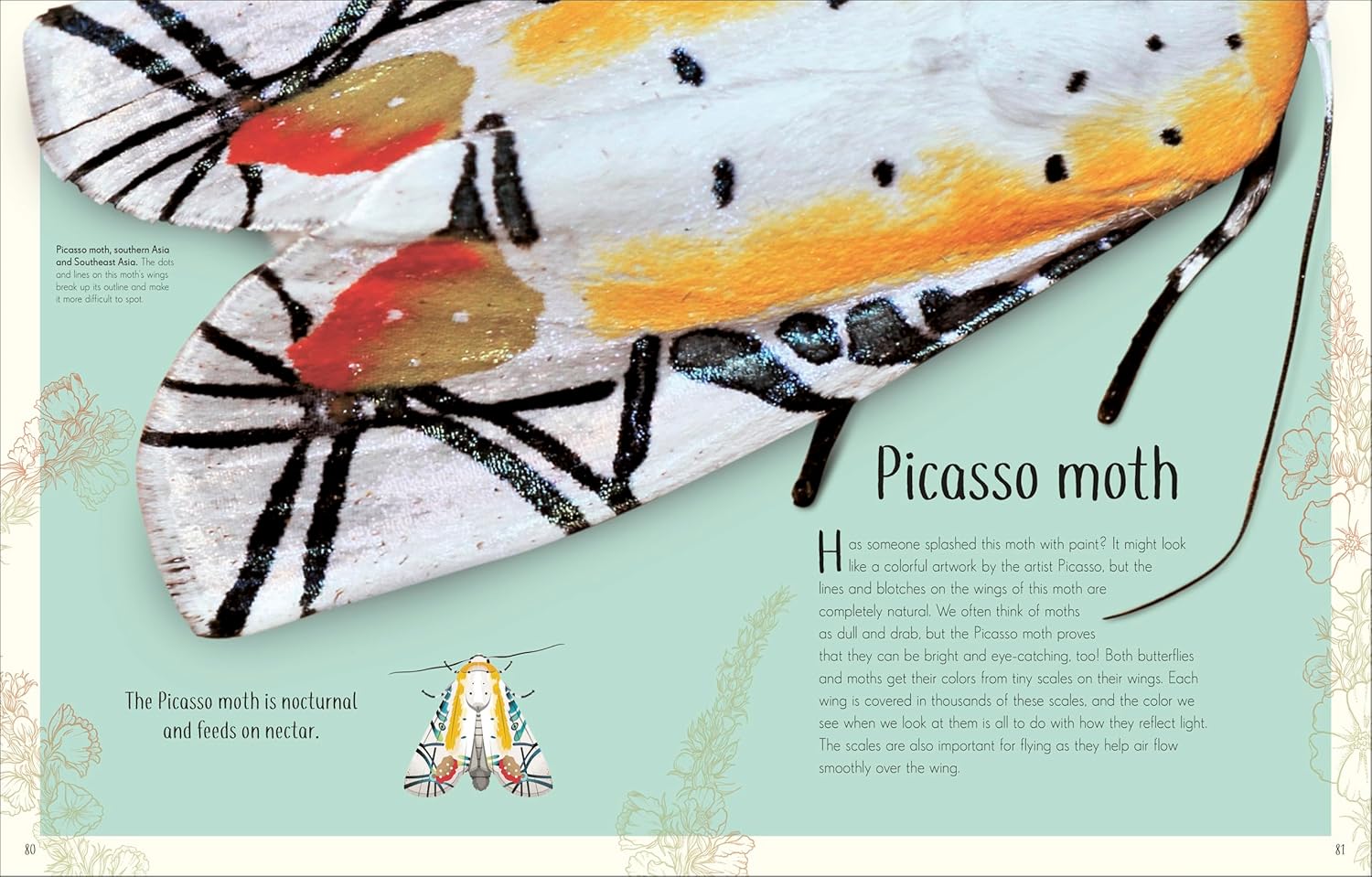 An Anthology Of Remarkable Bugs by French. Jess; Dk 20 9780593971758_4
