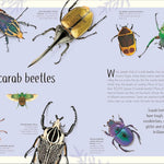 An Anthology Of Remarkable Bugs by French. Jess; Dk 20 9780593971758_6