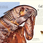 An Anthology Of Remarkable Bugs by French. Jess; Dk 20 9780593971758_8