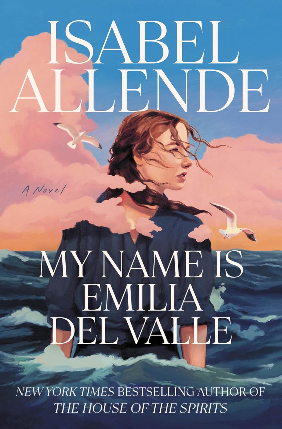 My Name Is Emilia Del Valle by Allende. Isabel 9780593975091_1