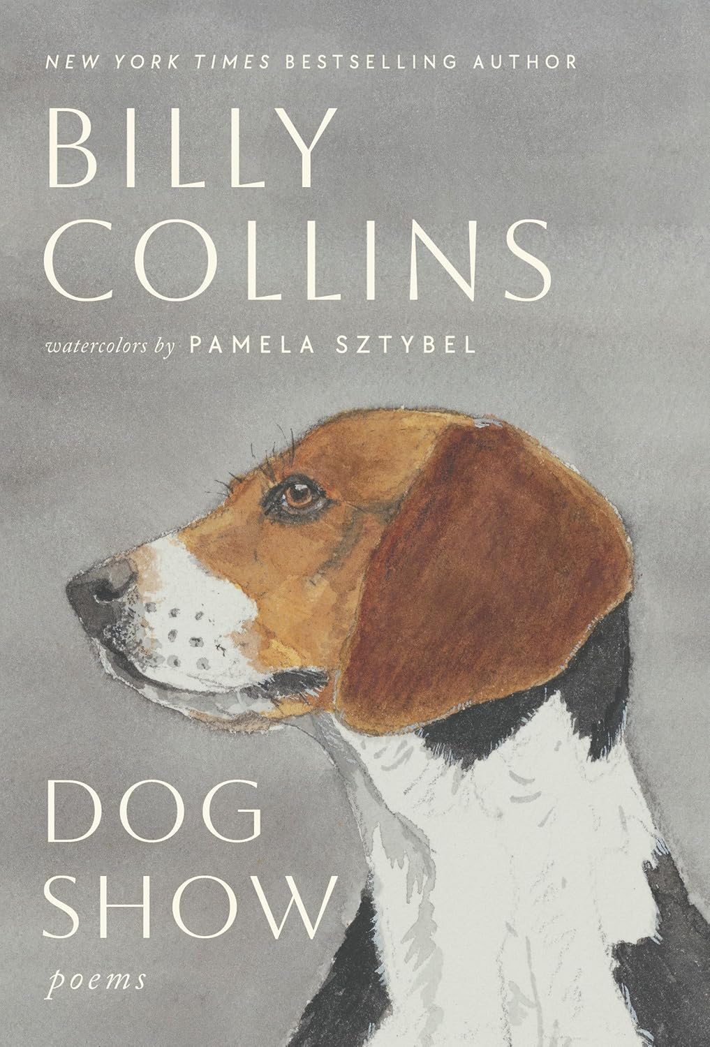 Dog Show: Poems by Collins. Billy 20 9780593979419