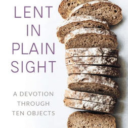 Lent In Plain Sight: A Devotion Through Ten Objects by Duffield, Jill J 9780664265465