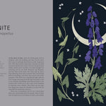 Floral Folklore by Davies. Alison; Wilding. Sarah 20 9780711290259_1