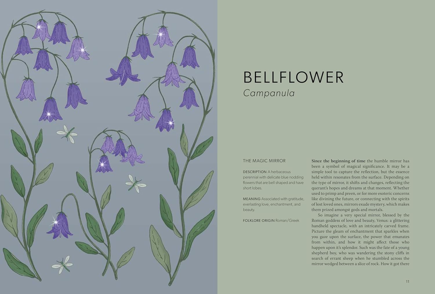 Floral Folklore by Davies. Alison; Wilding. Sarah 20 9780711290259_2_5b31d53a-b6ab-4525-9927-005926d7606c
