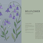 Floral Folklore by Davies. Alison; Wilding. Sarah 20 9780711290259_2_5b31d53a-b6ab-4525-9927-005926d7606c