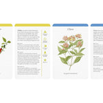A Kitchen Full Of Herbs: A Practical Card Deck by Farrell. Holly 20 9780711290372_2