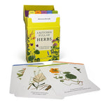 A Kitchen Full Of Herbs: A Practical Card Deck by Farrell. Holly 20 9780711290372_4