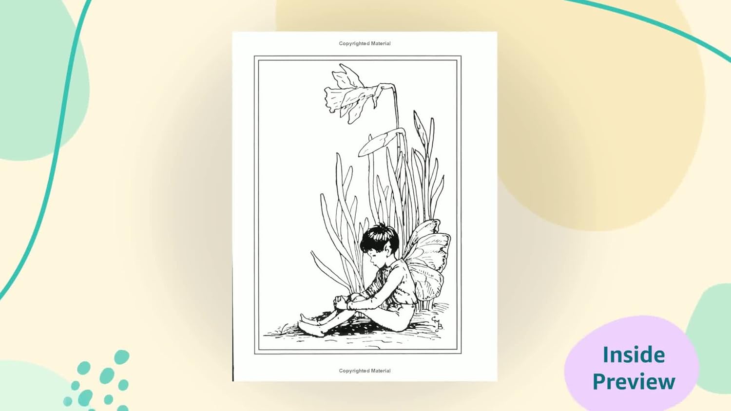 Flower Fairies Of The Spring by Barker. Cicely Mary 9780723237532_1