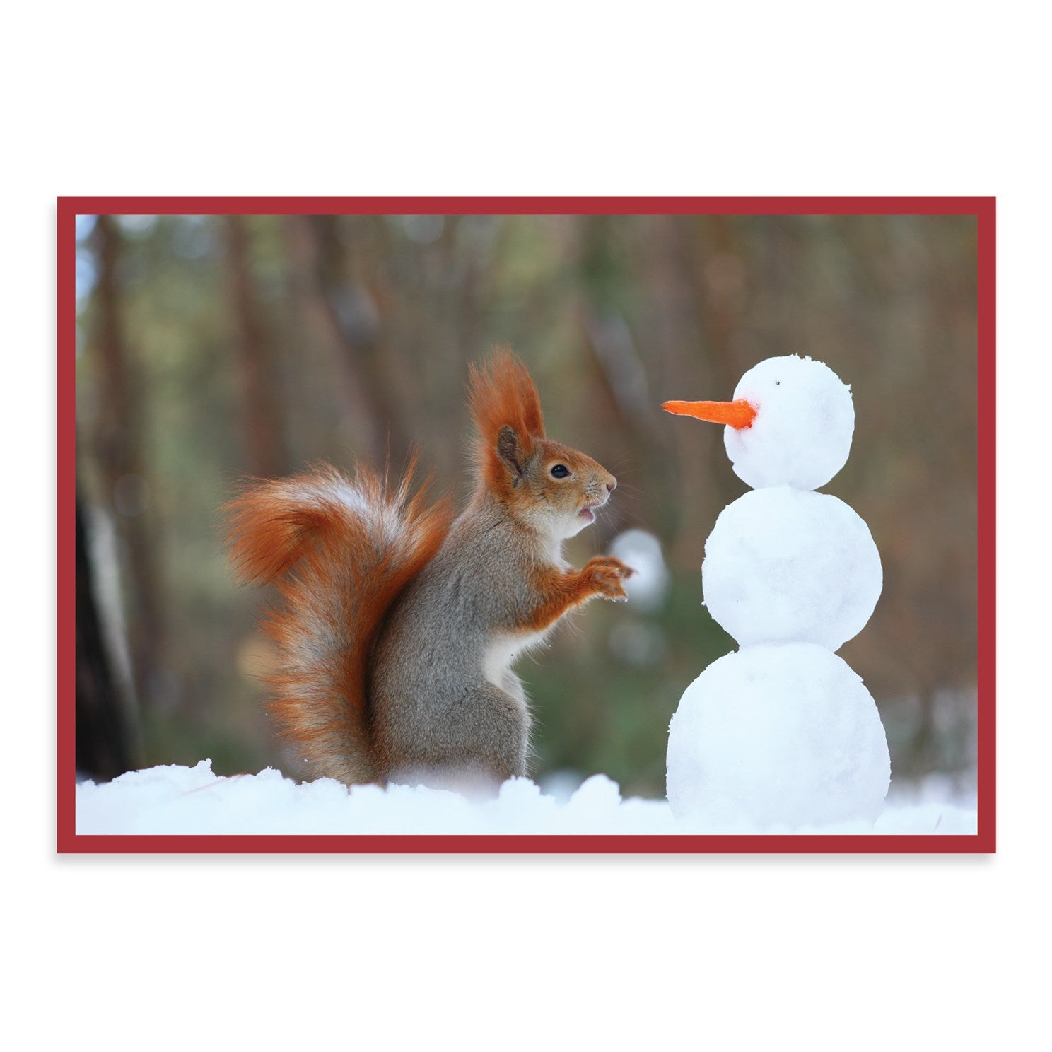 Snow Friends Holiday Half Notecards 50 9780735347403