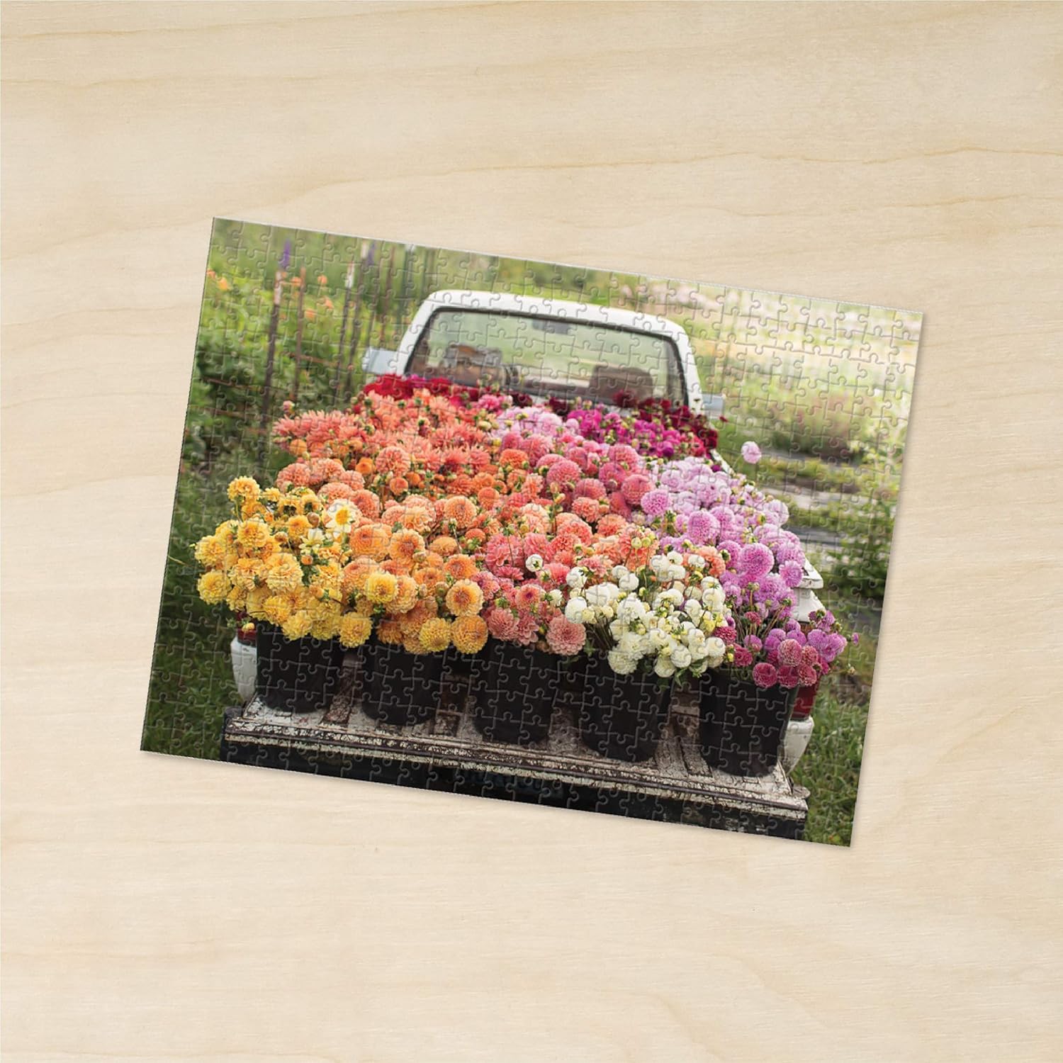 Floret Farms's Cut Flow Garden 2-Side 500 Piece Jigsaw Puzzle by Mcmenemy. Sarah 9780735355293_8