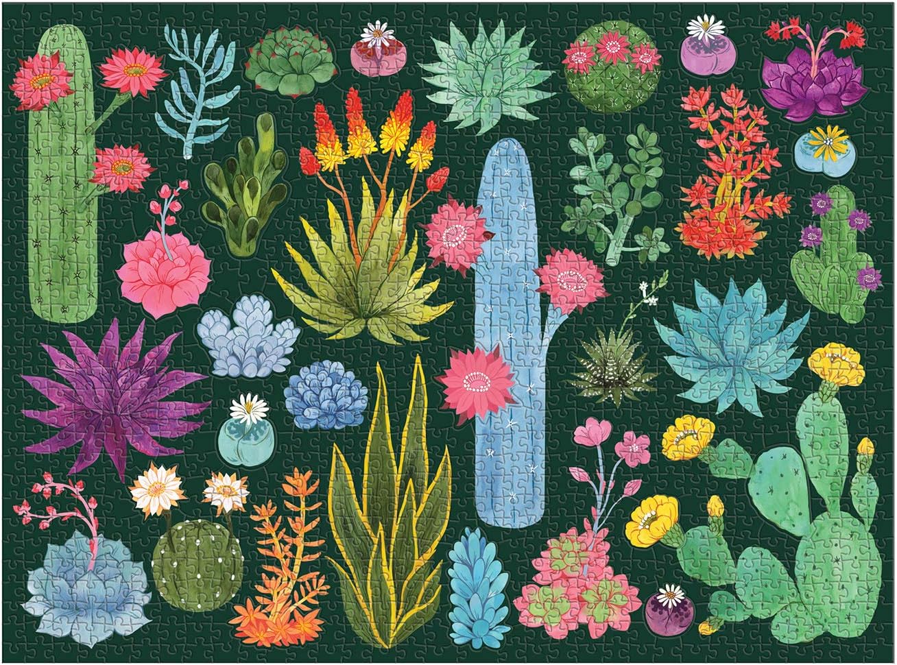 Desert Flora 1000 Piece Jigsaw Puzzle With Shaped Pieces by Herzman. Amanda 9780735364837_1