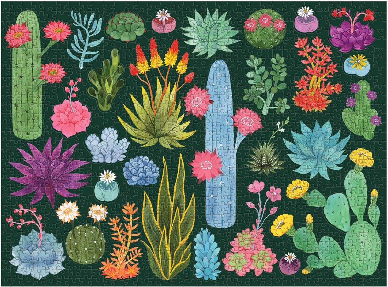Desert Flora 1000 Piece Jigsaw Puzzle With Shaped Pieces by Herzman. Amanda 9780735364837_1