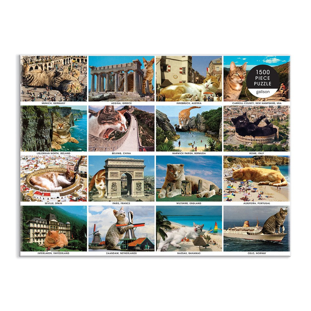 Vacation Cats 1500 Piece Jigsaw Puzzle - Galison 9780735369504