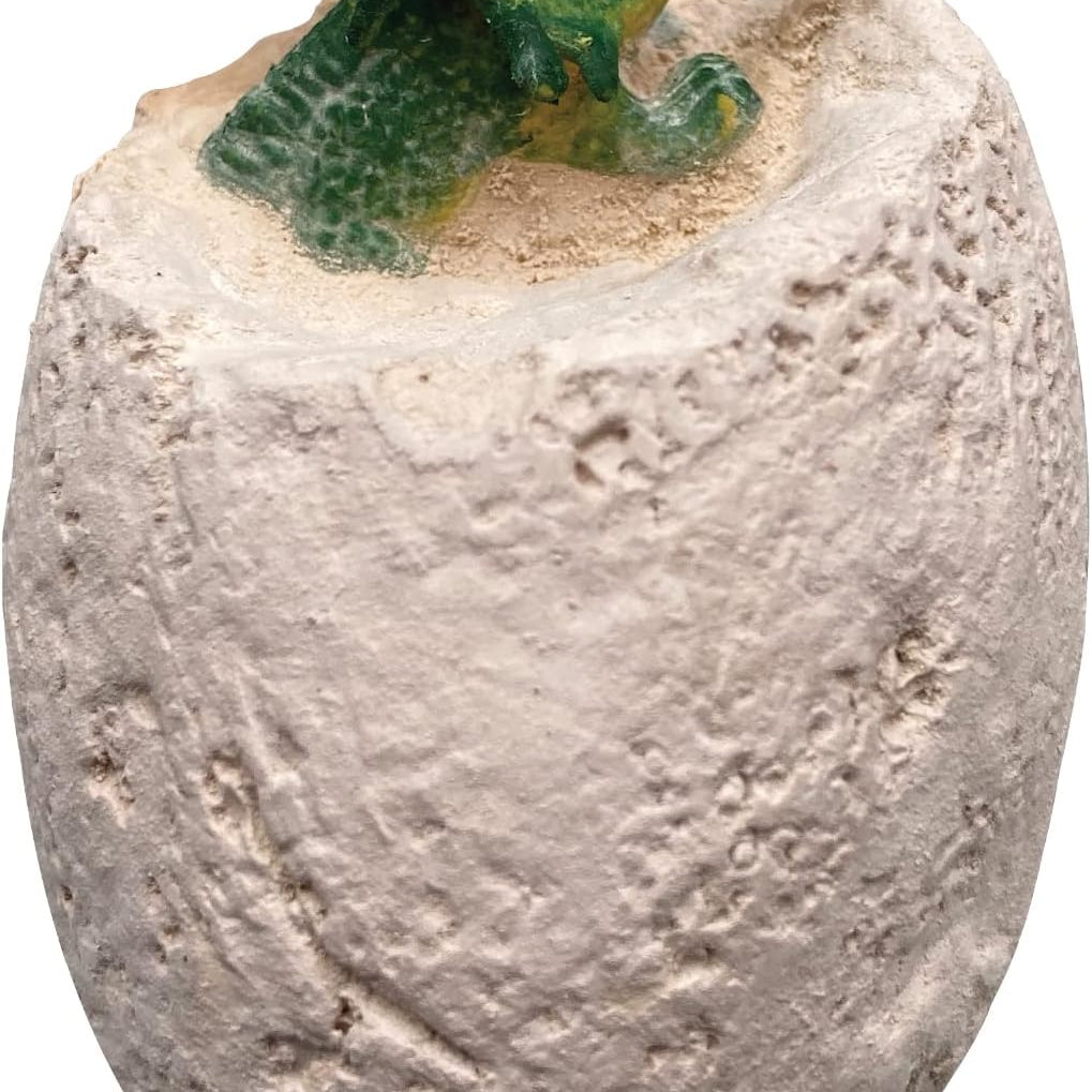 Dino Dig! Excavation Kit 9780735370340_1
