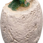 Dino Dig! Excavation Kit 9780735370340_1