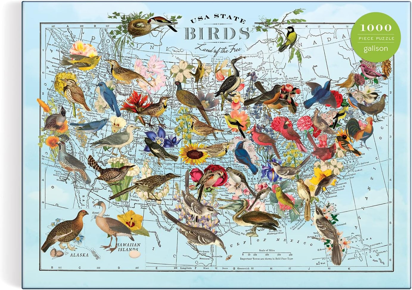 State Birds 1000 Piece Jigsaw Puzzle by Gold. Wendy 9780735372979_1