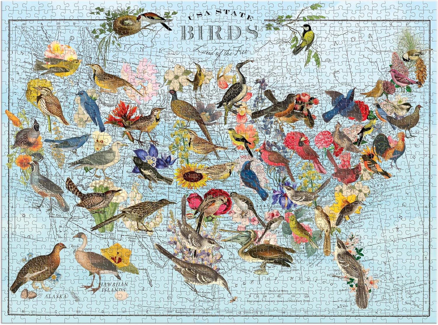 State Birds 1000 Piece Jigsaw Puzzle by Gold. Wendy 9780735372979_2