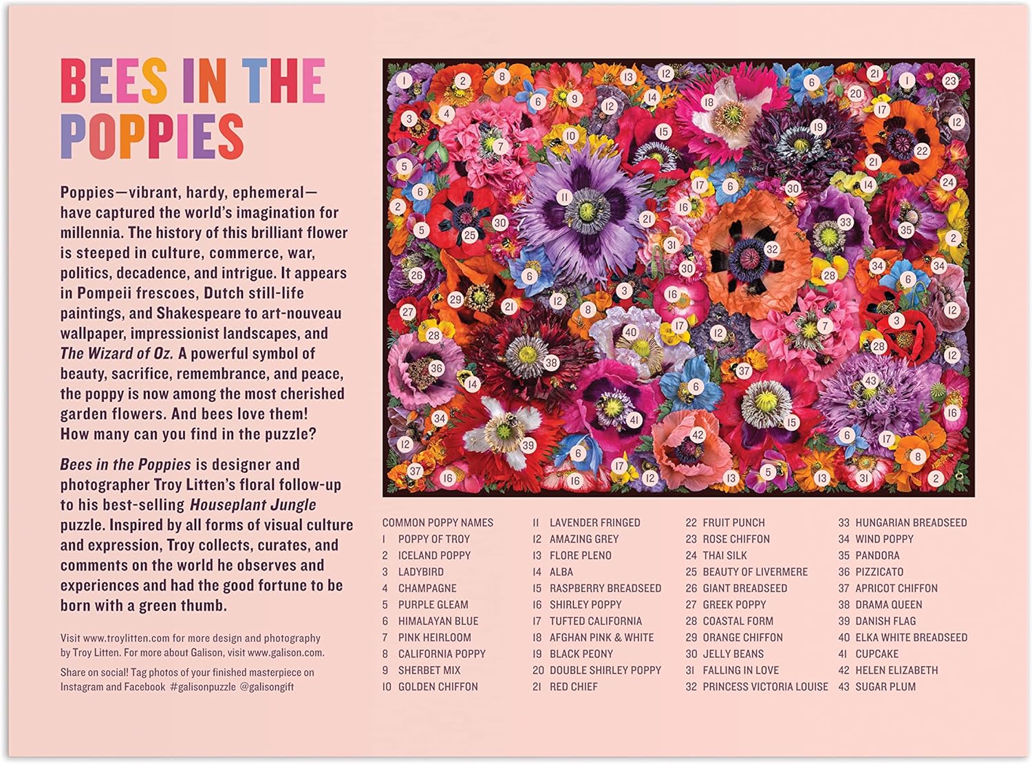 Bees In The Poppies 1000 Piece Jigsaw Puzzle - Litten. Troy 9780735375550_1