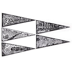Small Victories Magic Velvet Pennant Coloring Set by Brass Monkey 9780735375574