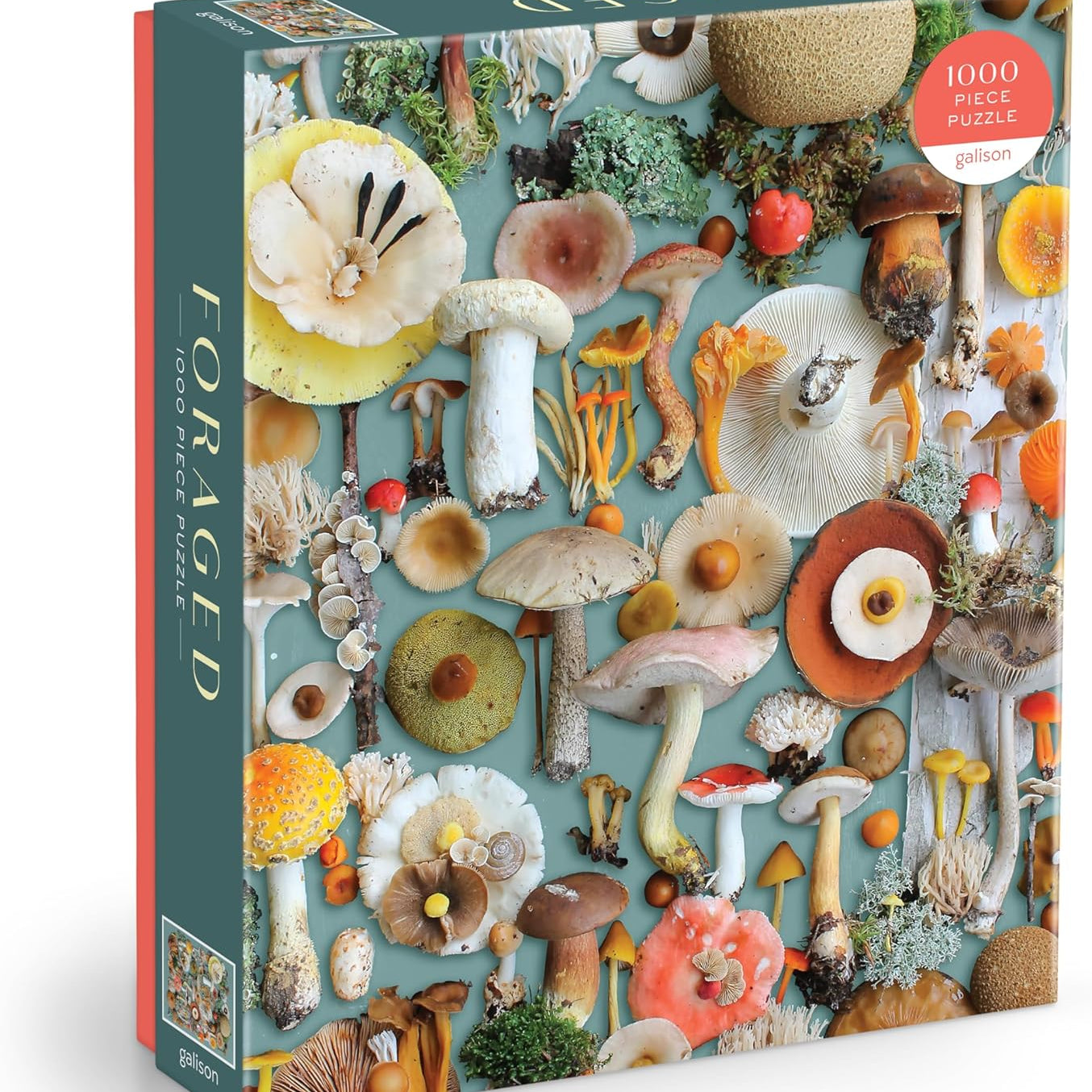 Foraged 1000 Piece Jigsaw Puzzle by Sanville. Sherrie 9780735376069