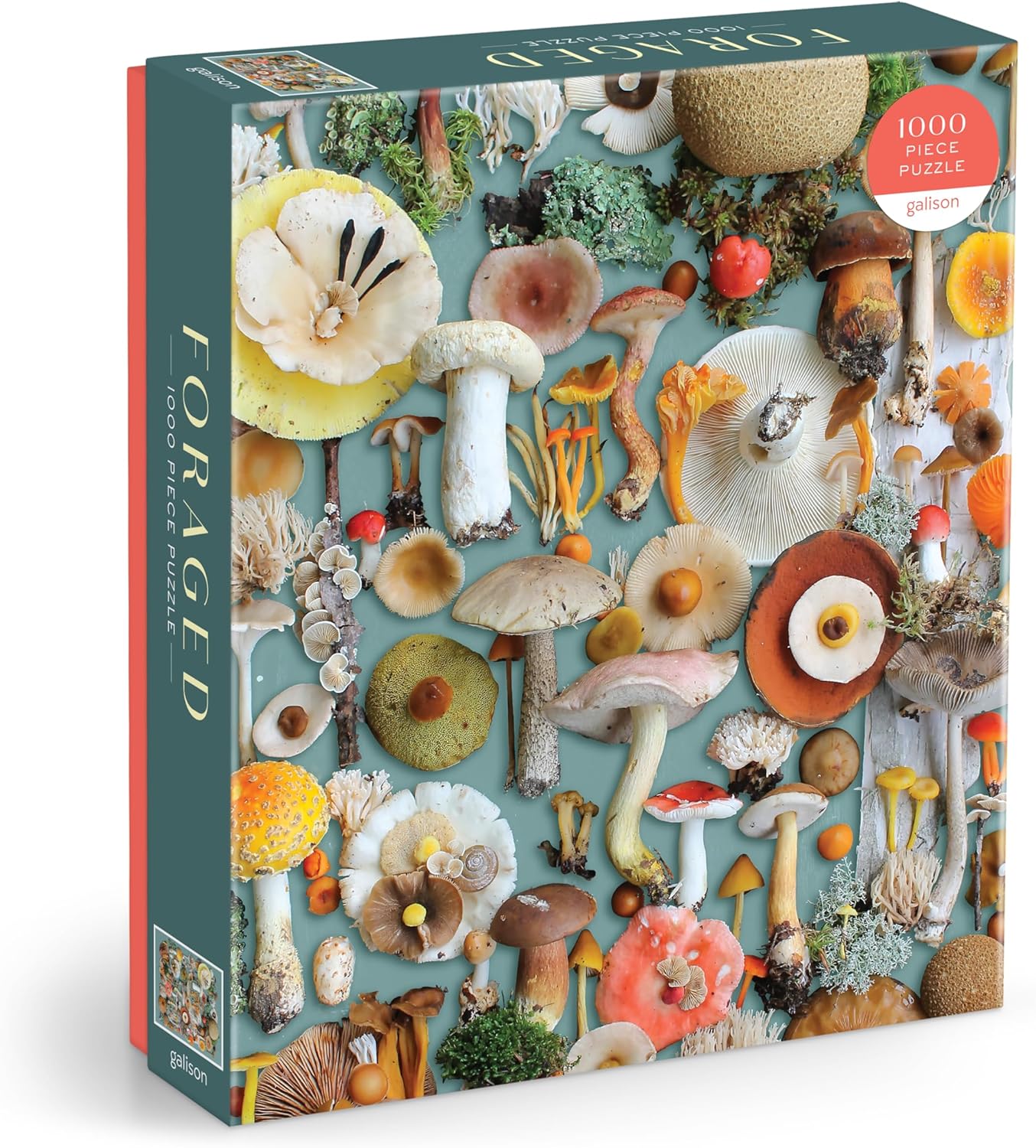 Foraged 1000 Piece Jigsaw Puzzle by Sanville. Sherrie 9780735376069