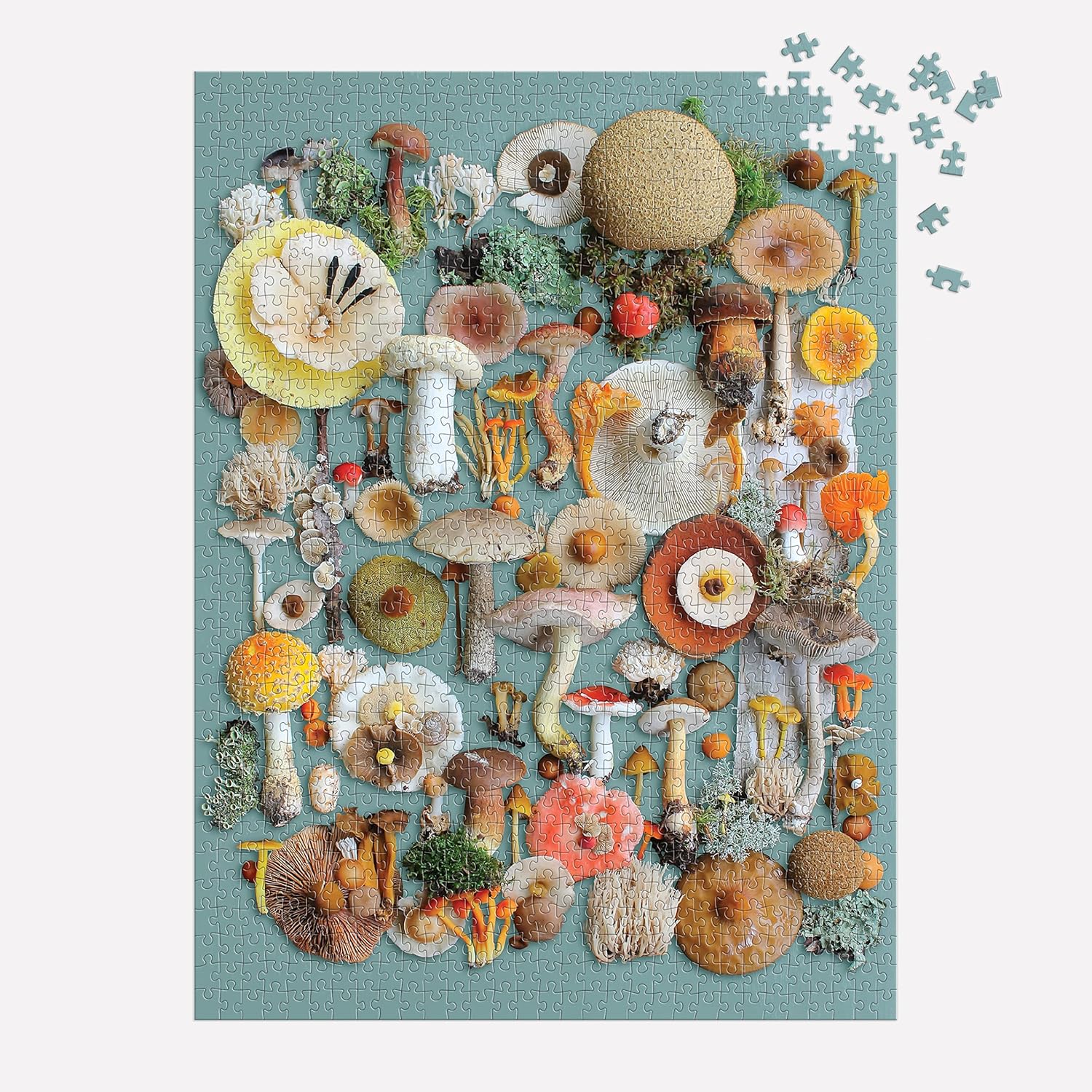 Foraged 1000 Piece Jigsaw Puzzle by Sanville. Sherrie 9780735376069_2