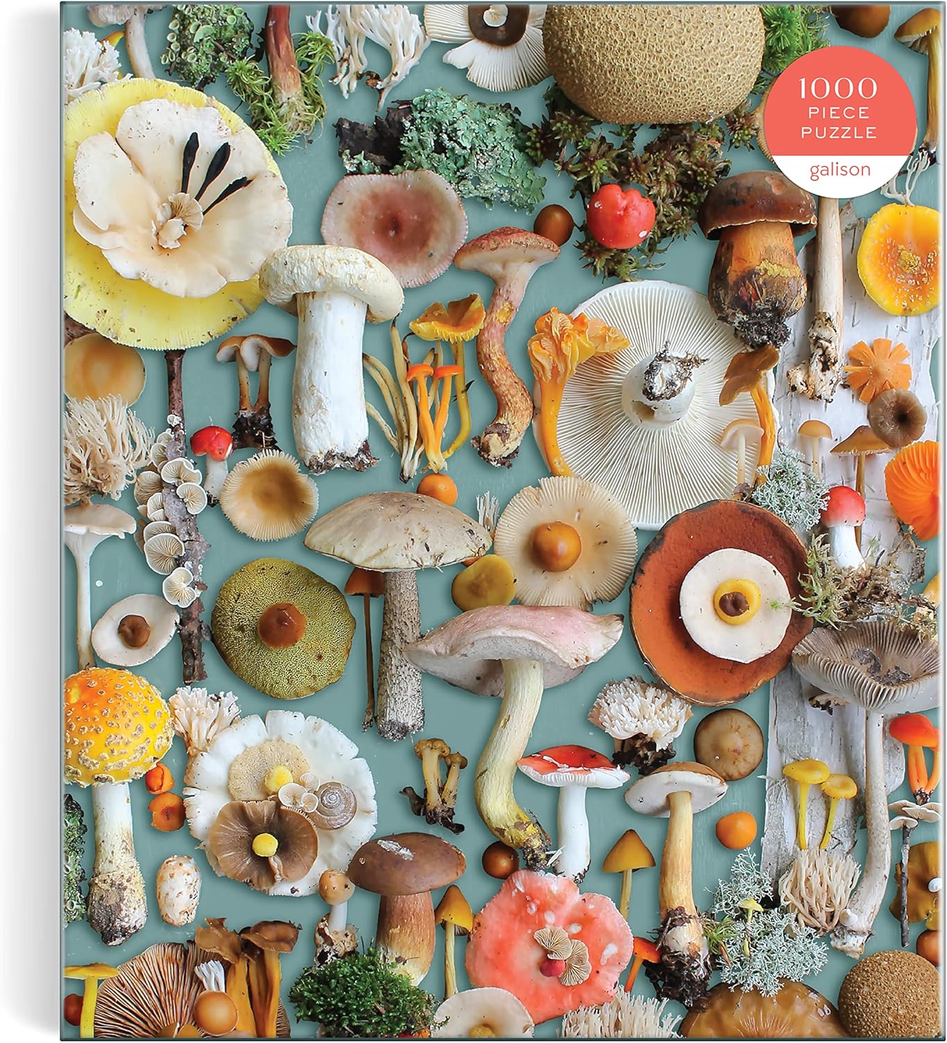 Foraged 1000 Piece Jigsaw Puzzle by Sanville. Sherrie 9780735376069_4