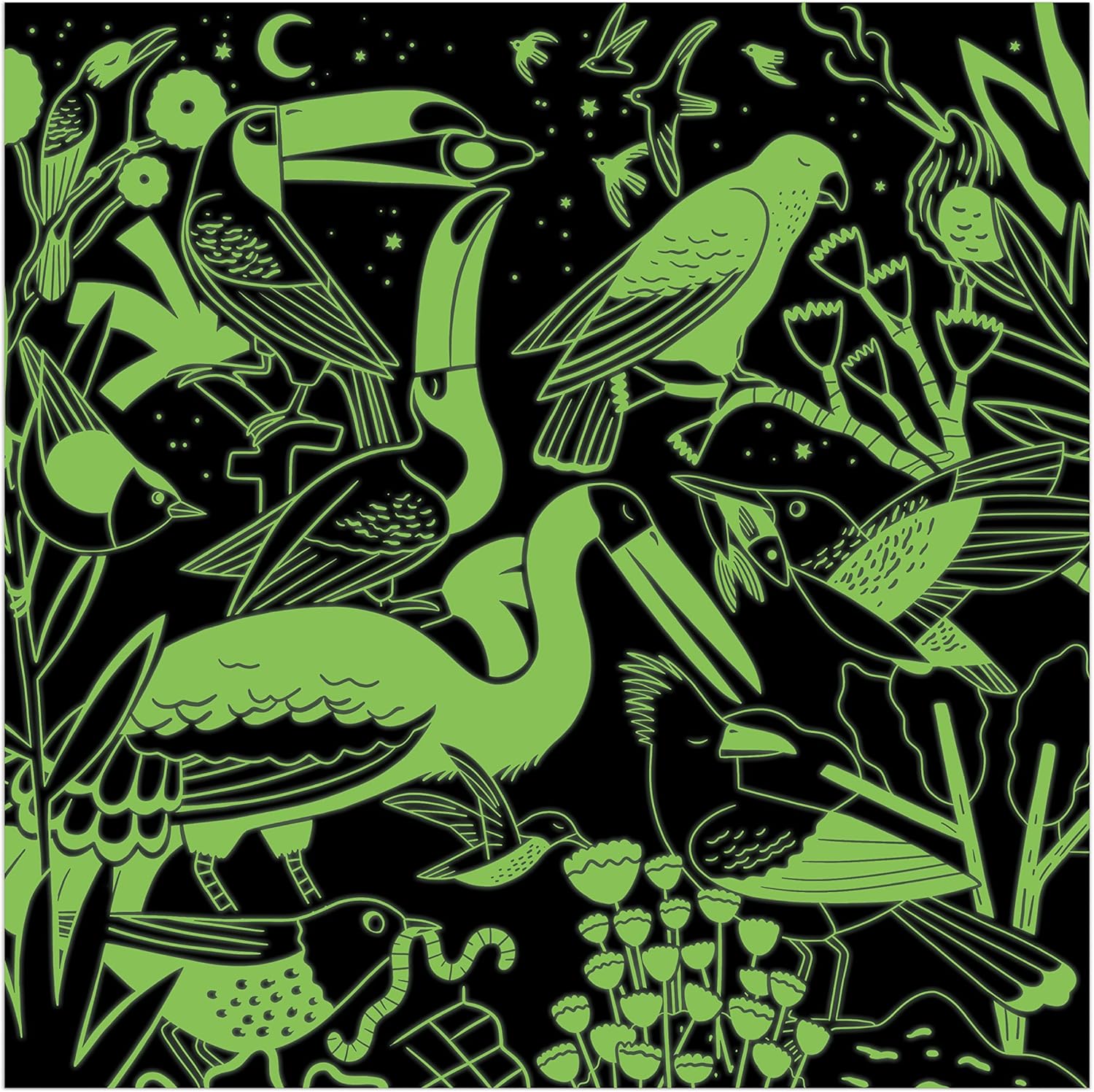 Birds Illuminated 500 Piece Glow In The Dark Jigsaw Puzzle by Durley. Natasha 9780735378711_2