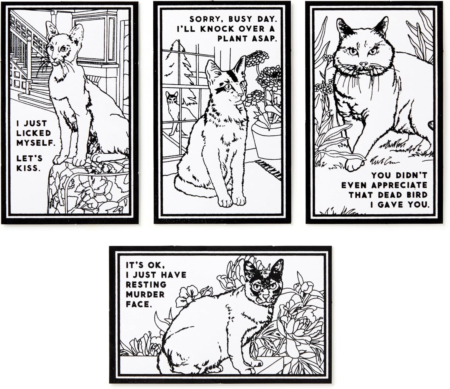 Moody Cats Velvet Coloring Set by Brass Monkey 9780735381223_2