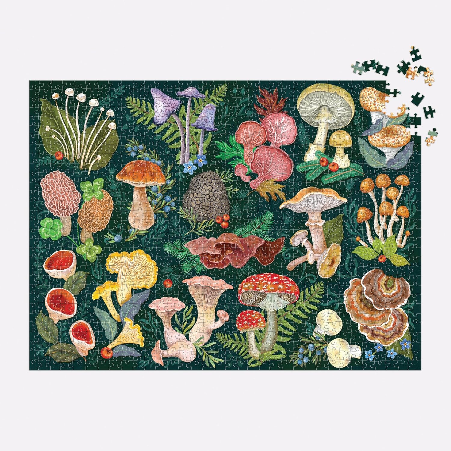 World Of Mushrooms 1000 Piece Jigsaw Puzzle - Galison; Akbarova. Olga