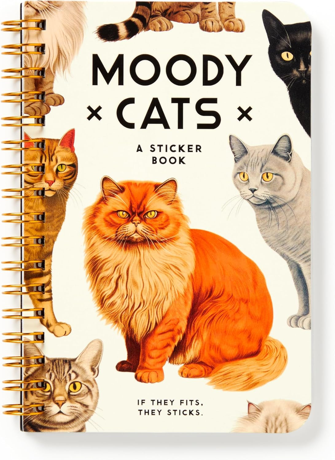 Moody Cats Sticker Book by Brass Monkey 9780735382930