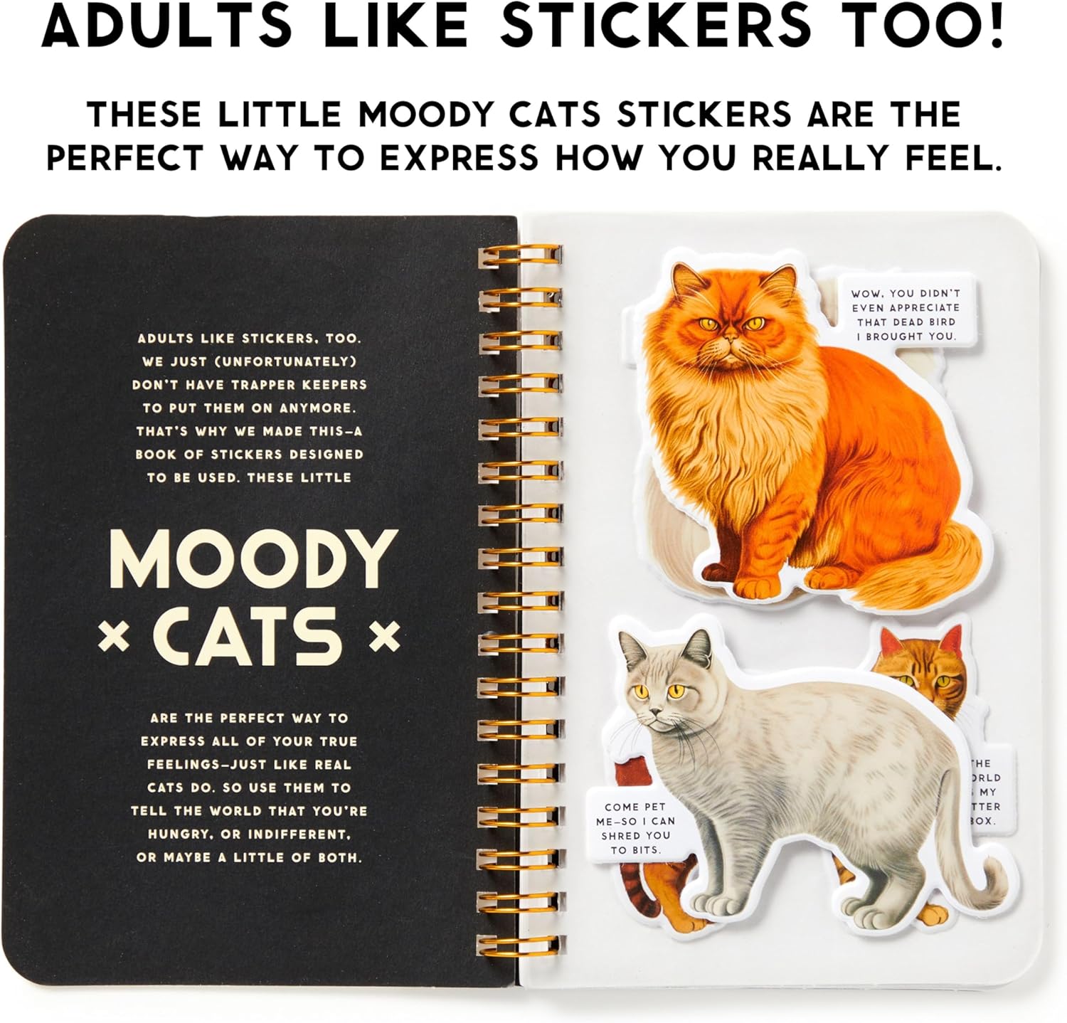 Moody Cats Sticker Book by Brass Monkey 9780735382930_2