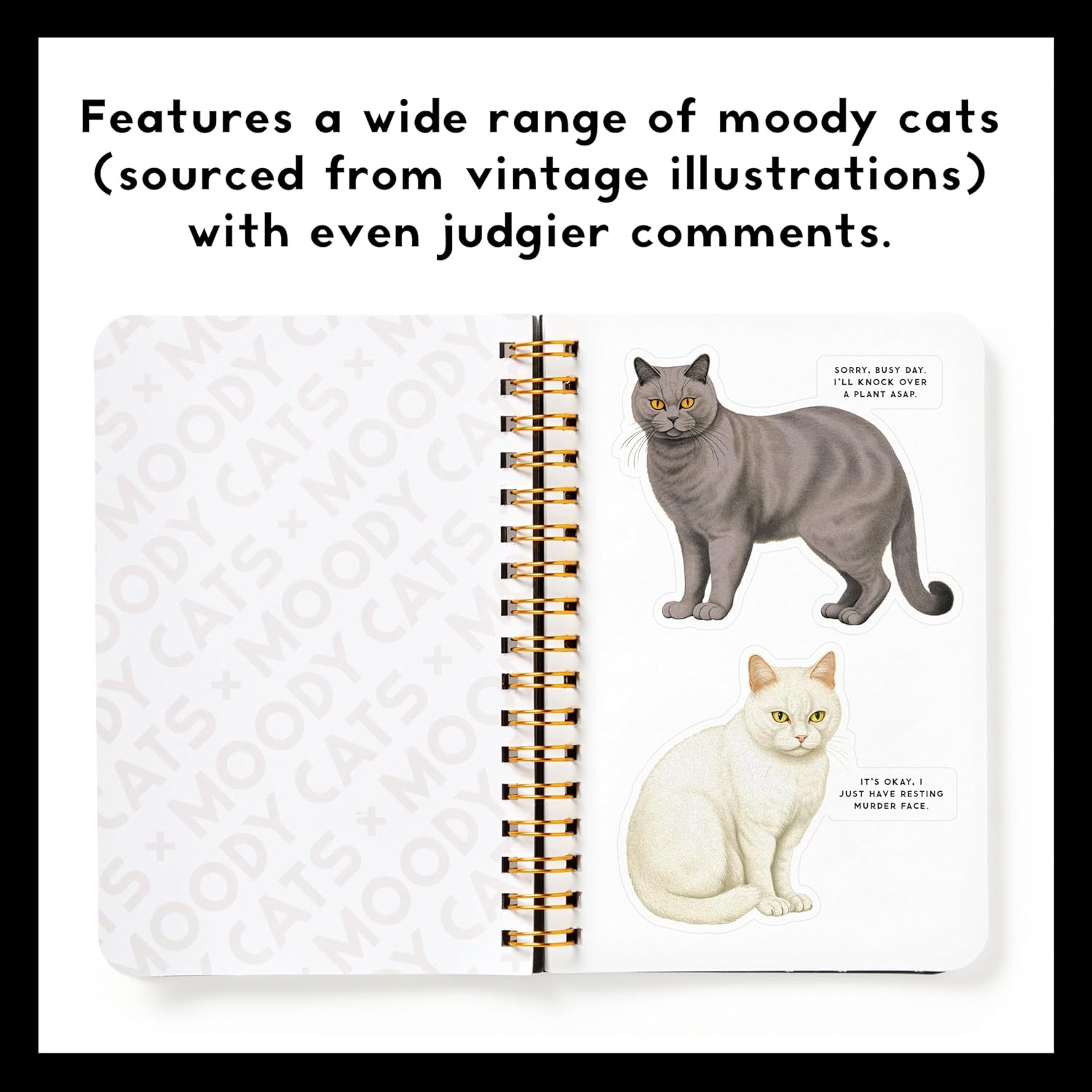 Moody Cats Sticker Book by Brass Monkey 9780735382930_4