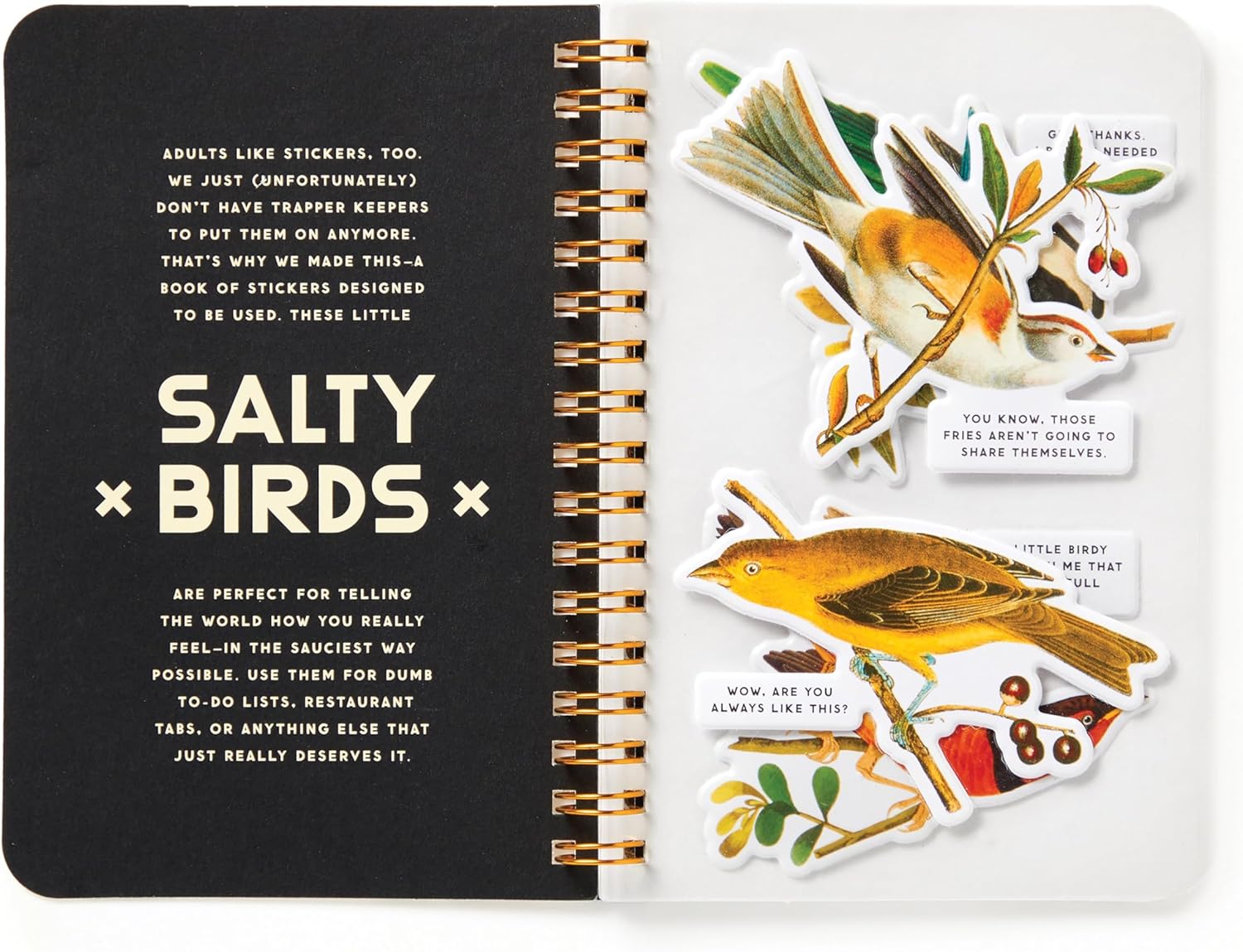 Salty Birds Sticker Book by Brass Monkey 9780735382947_1