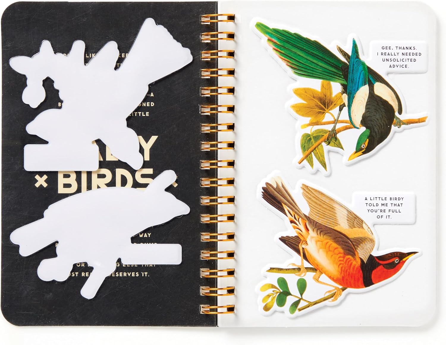 Salty Birds Sticker Book by Brass Monkey 9780735382947_2