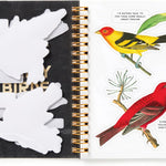 Salty Birds Sticker Book by Brass Monkey 9780735382947_3
