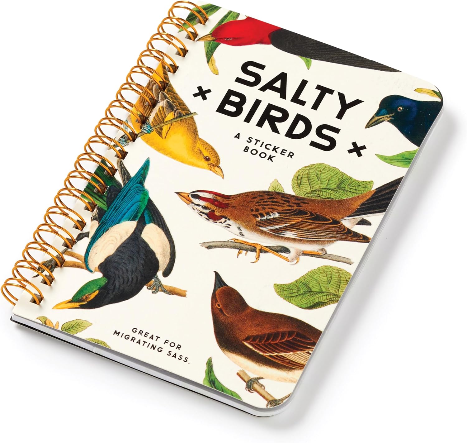Salty Birds Sticker Book by Brass Monkey 9780735382947_9