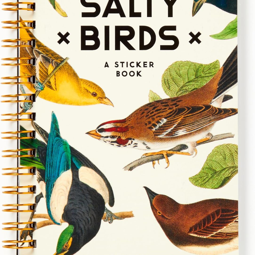 Salty Birds Sticker Book by Brass Monkey 9780735382947_ea716386-7c96-4144-933a-8fa06353a85c