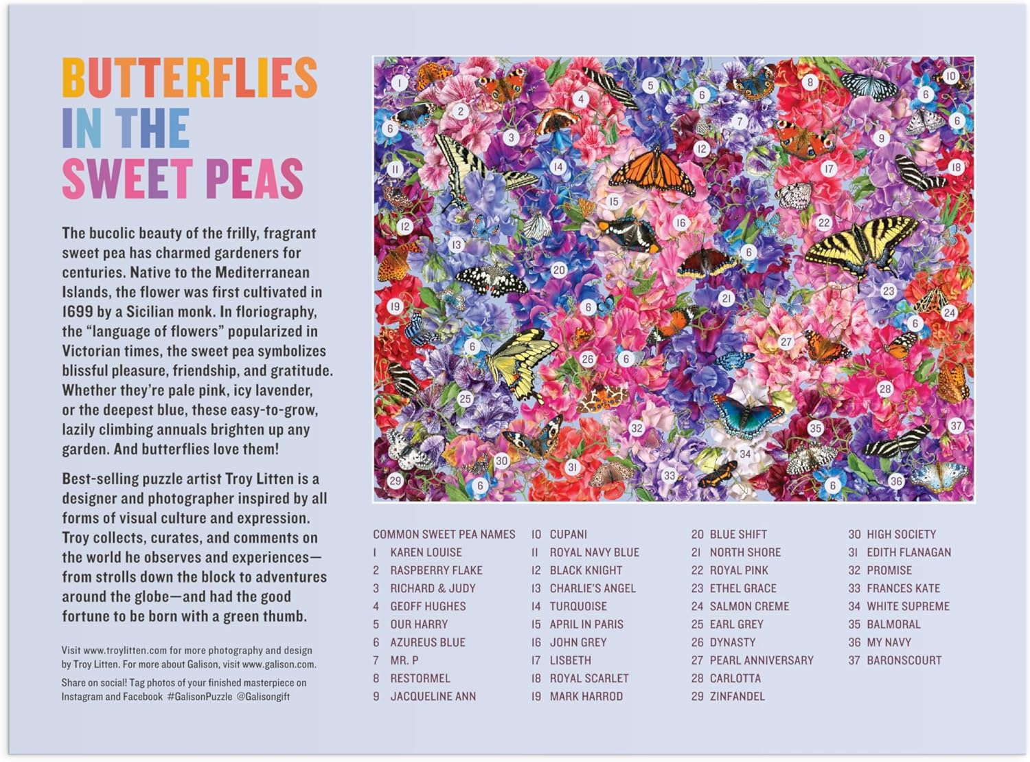 Butterflies In The Sweatpeas 1000 Piece Jigsaw Puzzle - Litten. Troy 9780735383357_2
