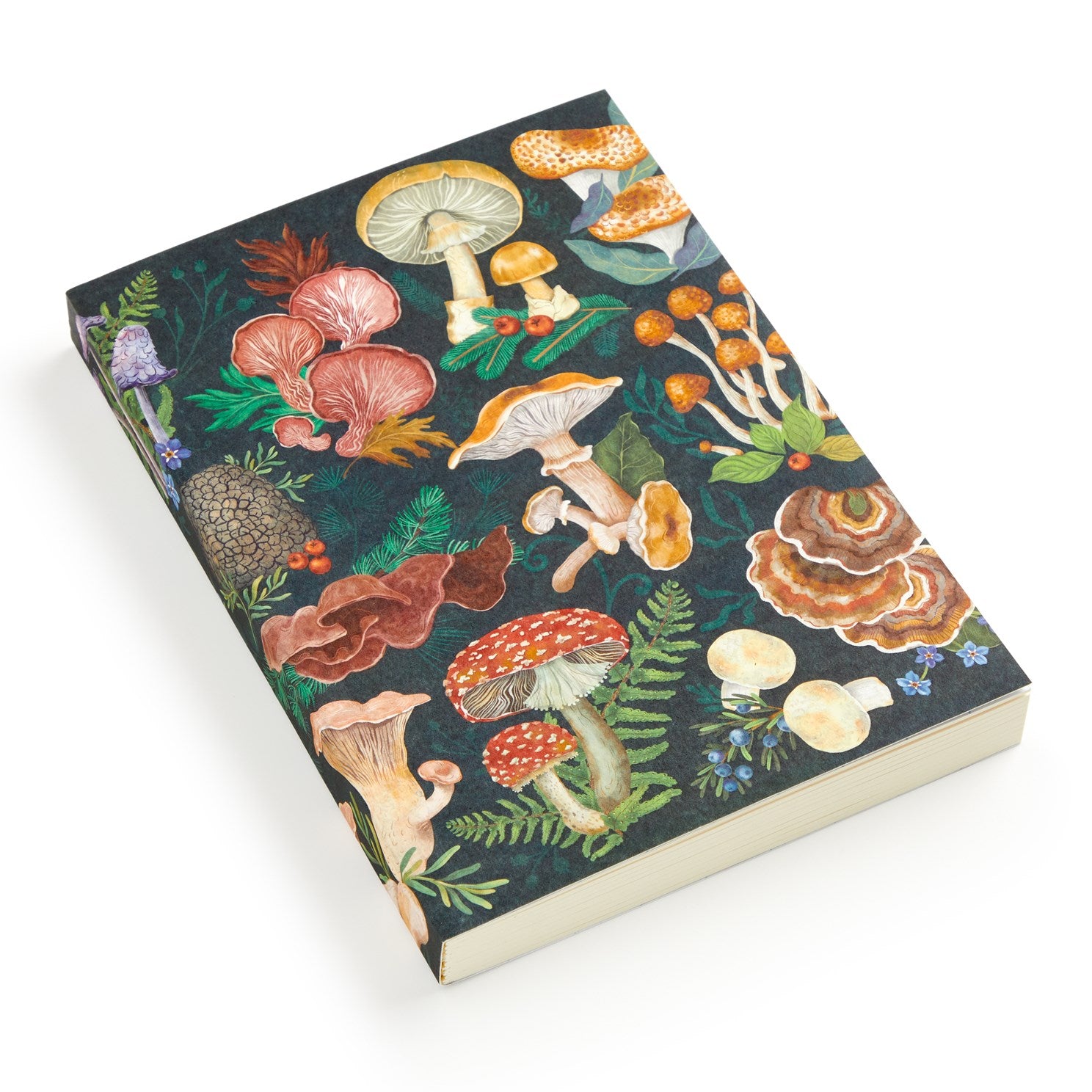 Mushrooms A5 Notebook Journal Diary - Galison 50 9780735385900