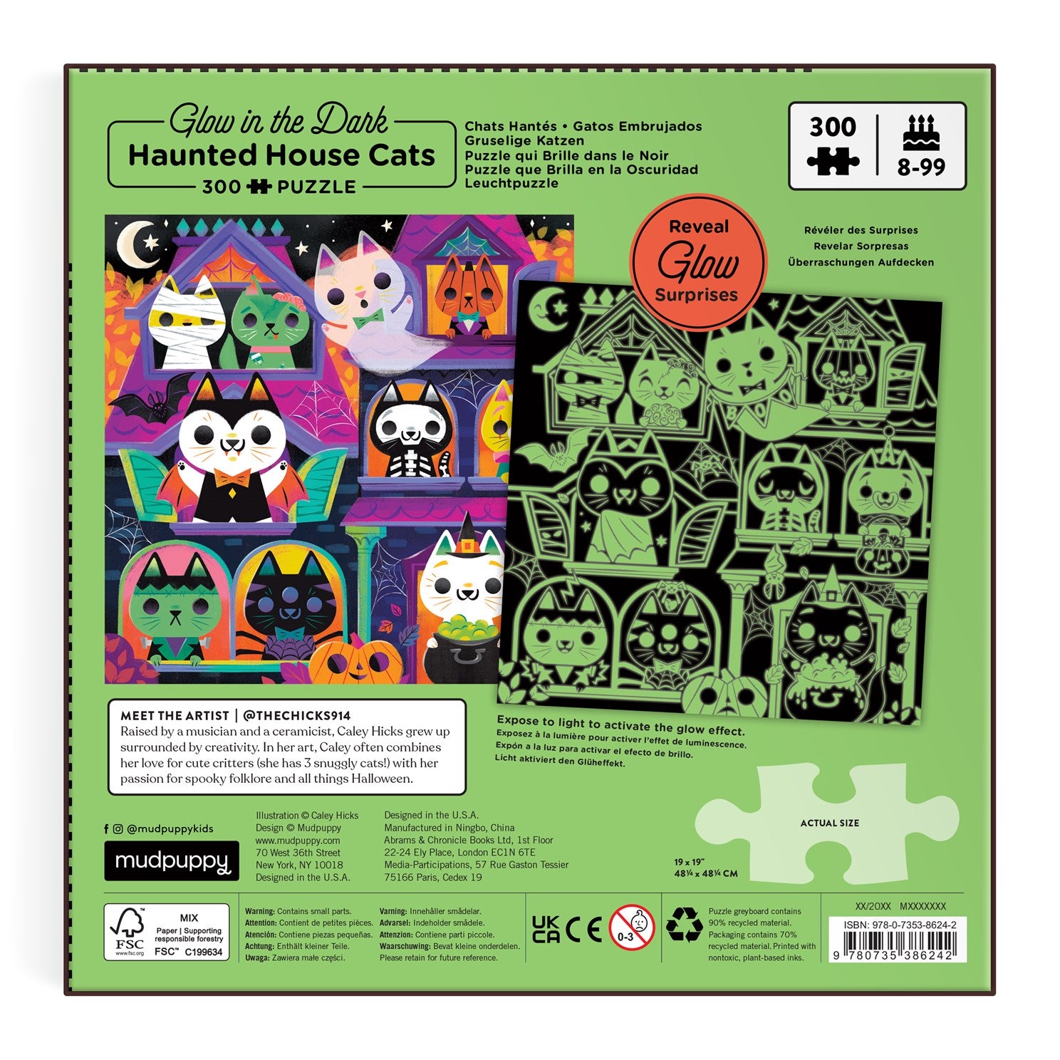 Haunted House Cats 300 Piece Glow in the Dark Jigsaw Puzzle, Illustrated by Hicks. Caley 80 9780735386242_1