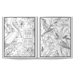 Salty Birds Coloring Book by Brass Monkey 20 9780735388321_2